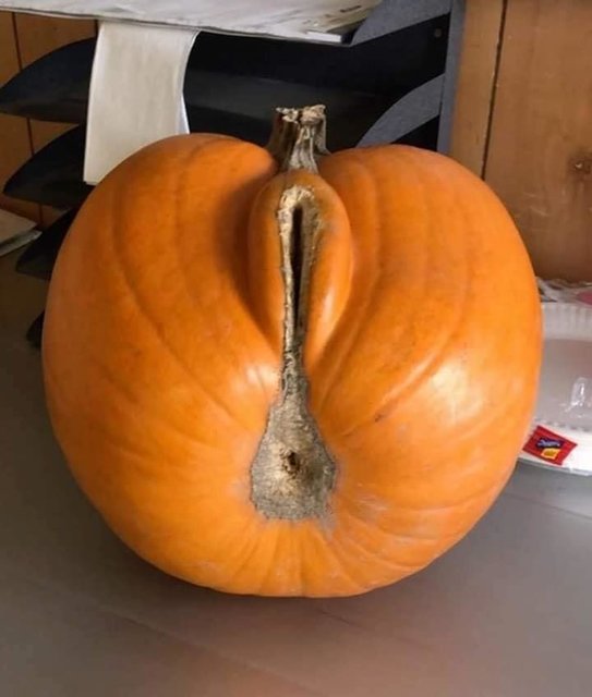 75446825_1415308445294569_3461609482977542144_n.jpg - rain_bowman