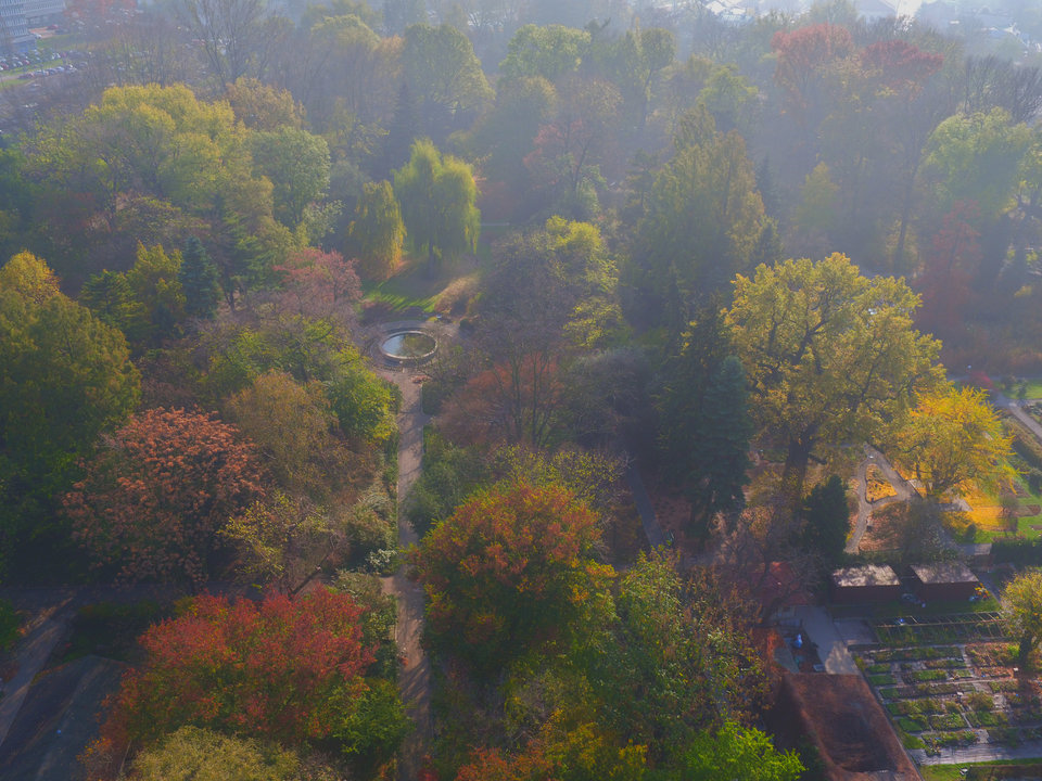 DJI_0959_02.jpg - FoKam431