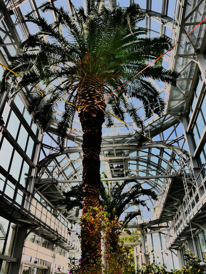 P1100447.JPG - FoKam431