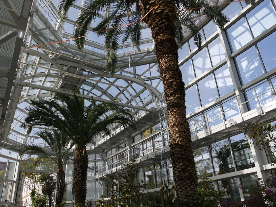 _1100450.JPG - FoKam431