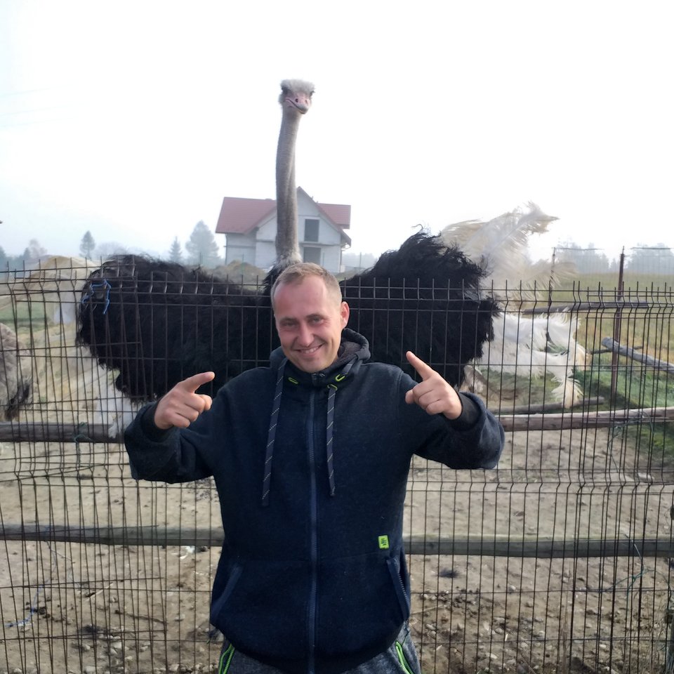 IMG_20191030_115159_089.jpg - Wolny1987slask