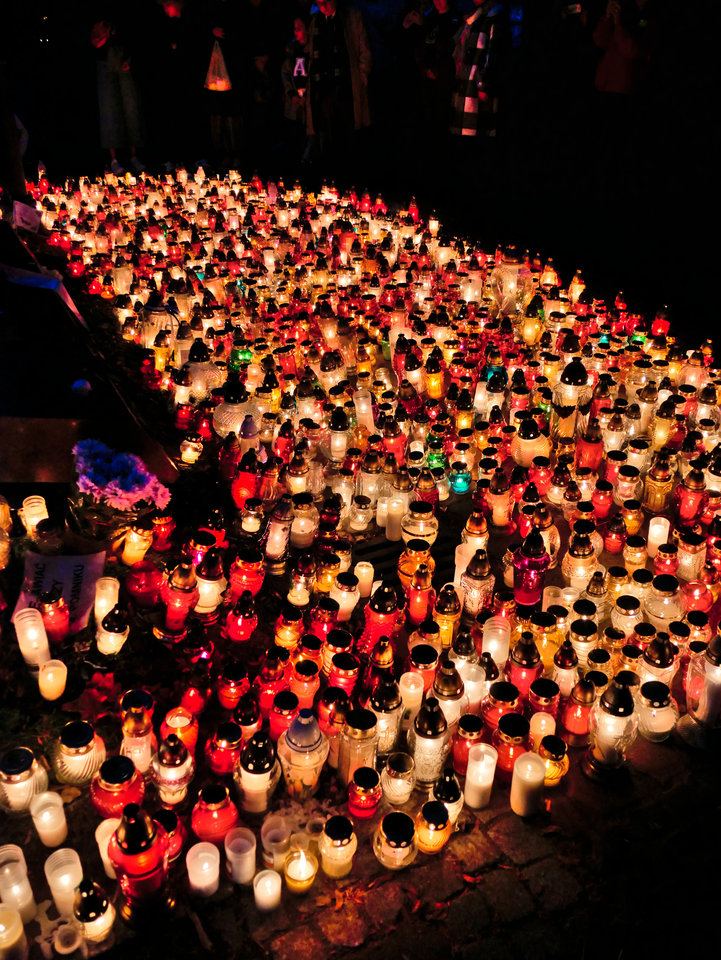 _1060399.jpg - FoKam431