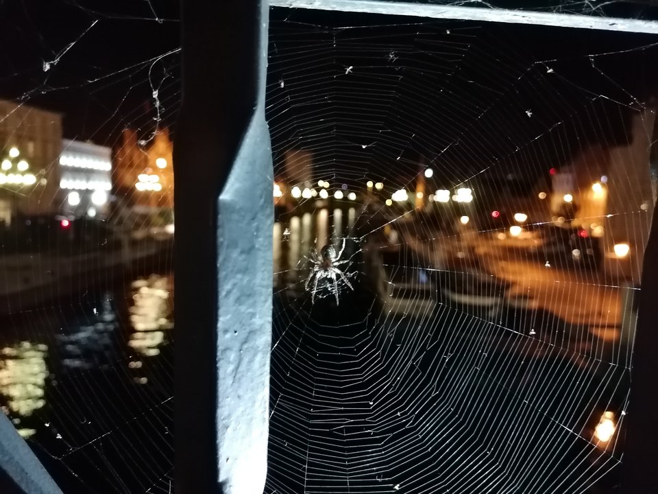 IMG_20190823_224554.jpg - lukaszz199822