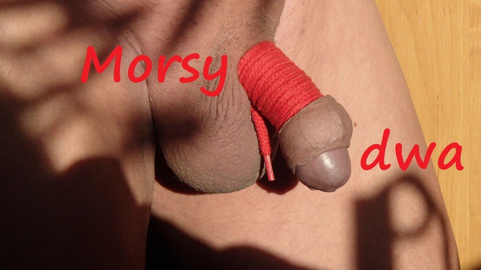 Remanety. - Morsy_dwa