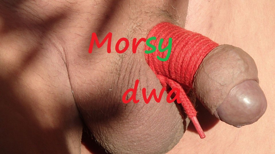 Remanety. - Morsy_dwa