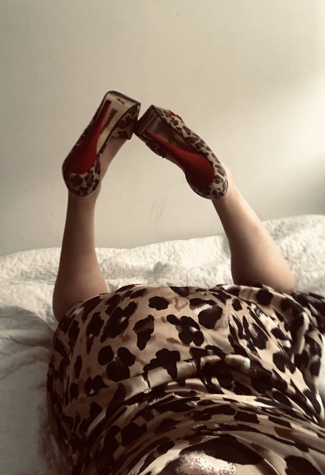 E0616F32-12AE-46EE-870C-5B51203B4F80.jpeg - Kaytee