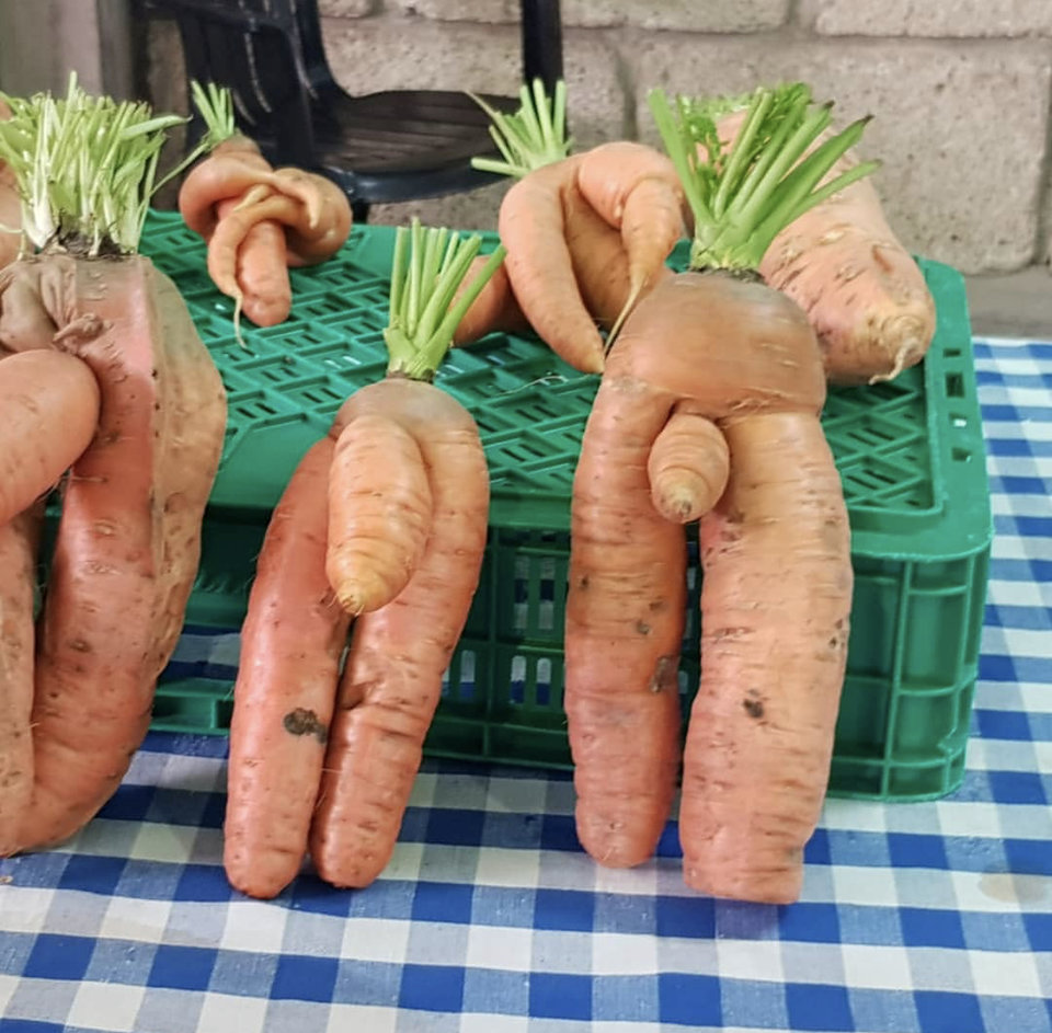 8A535B59-2C63-4159-96BF-CDA70A71F504.jpeg - paaarabi