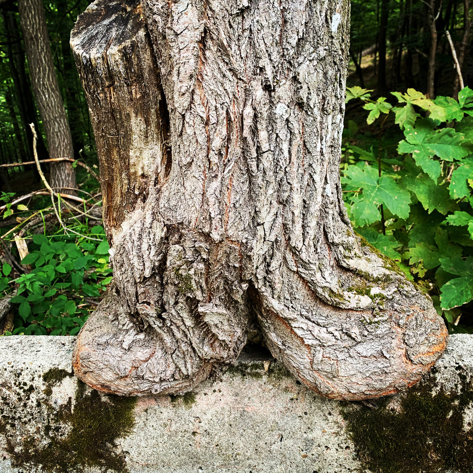 4104D2D6-94C6-43E7-B0A1-C6953DC21B08.jpeg - Maxy4