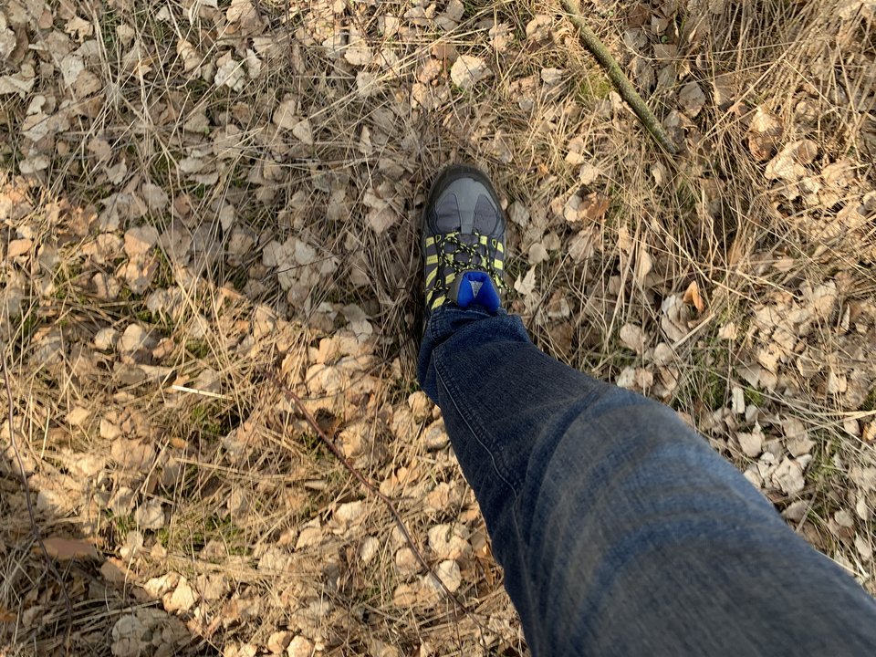 3595BEF3-271A-4536-8A18-0725F1FA4582.jpeg - Maxy4