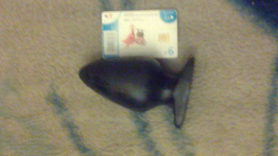 2019-09-02-1002----.jpg - jebadelko66