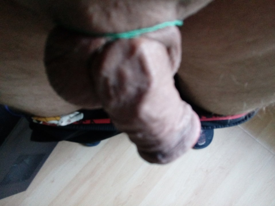 1573049725203-942733300.jpg - sylwek240