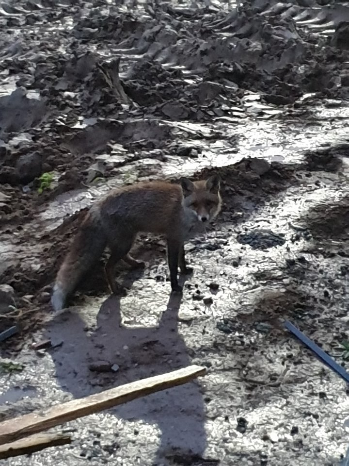 20191106_160849.jpg - reporter13