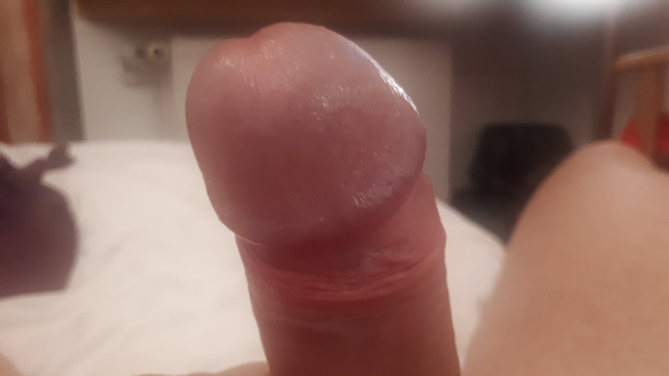 15730642723262733477717286938228.jpg - Zafox