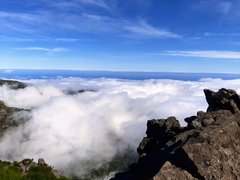 Troszkę wyżej 😁