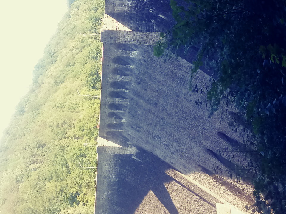 20190818_150229_Film1.jpg - Iworob7168