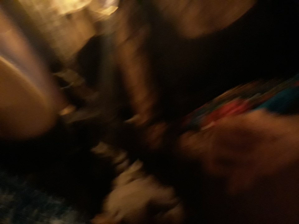 20191101_001855.jpg - Dron8