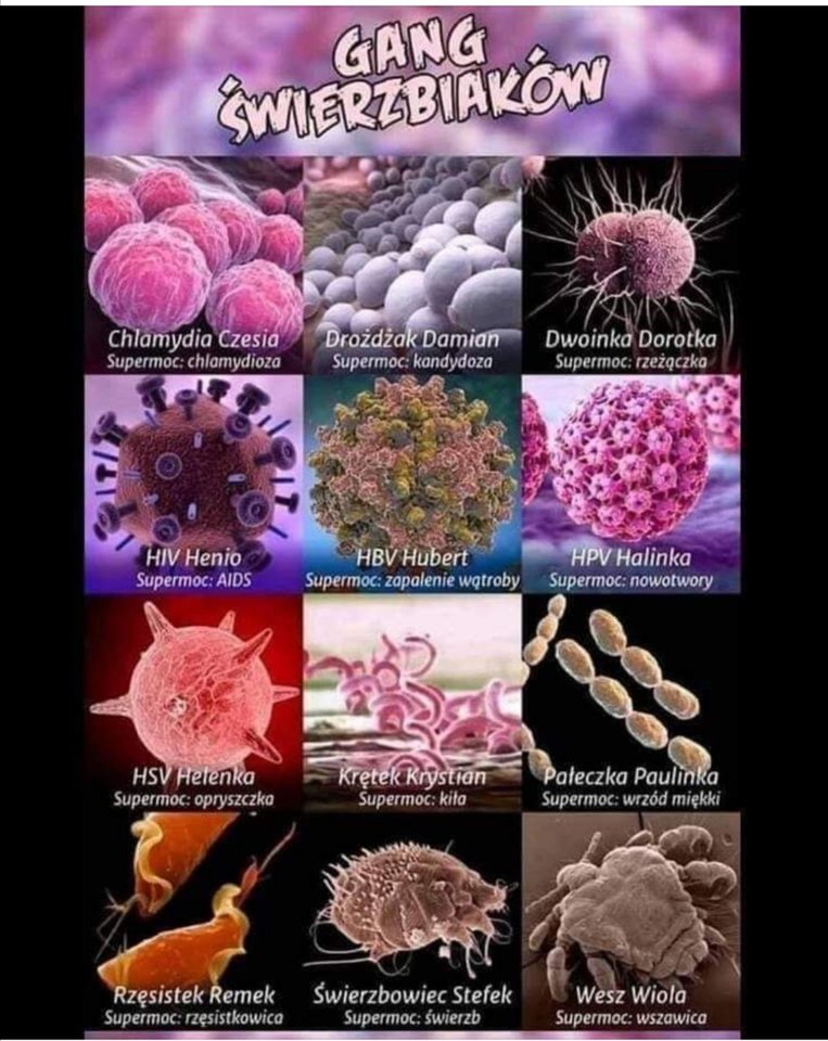 Screenshot_20191107_095847.jpg - malzenstwo81krk