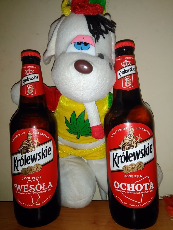 56940361_2822665211109435_5530375198009720832_o.jpg - parka2313