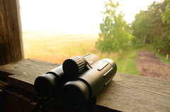 Lisewski Dwór.JPG.jpg