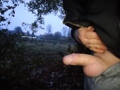 IMG_20191109_072233.jpg