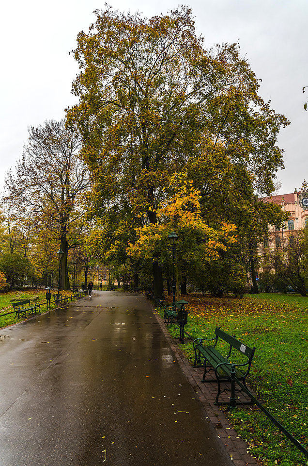 Jesiennie 1 - mystic