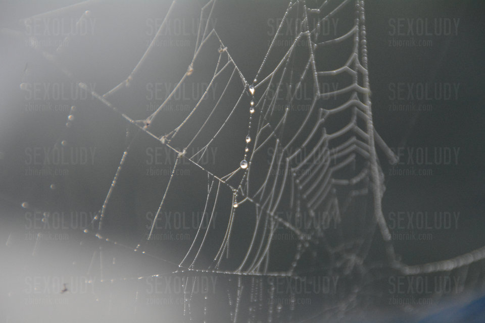 Mglisto.JPG - Sexoludy