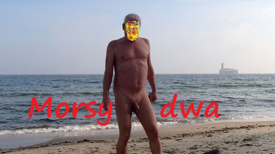 Listopadowo. - Morsy_dwa