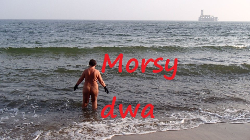 Listopadowo. - Morsy_dwa