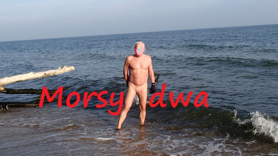 Listopadowo. - Morsy_dwa
