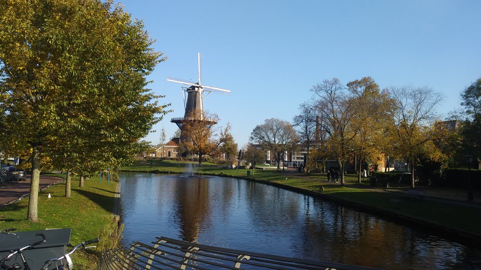 20191110_130847.jpg - tomek3576