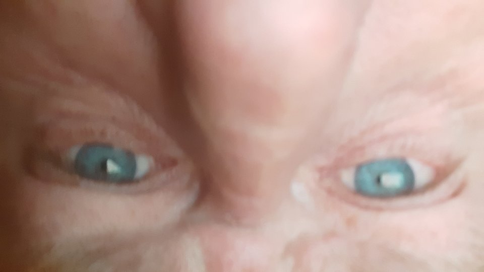 20191110_200610.jpg - wariat2019