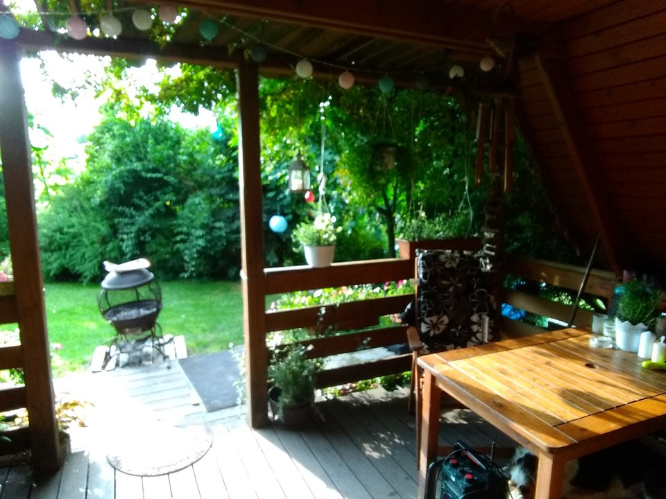 IMG_20190628_180959.jpg - arahja