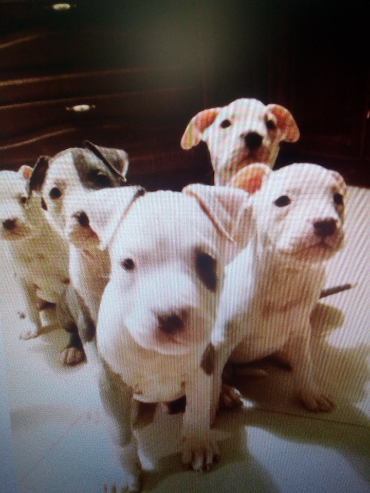 IMG_20190221_191146.jpg - matmartifer