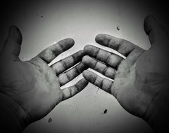 Takie tam dłonie.jpg