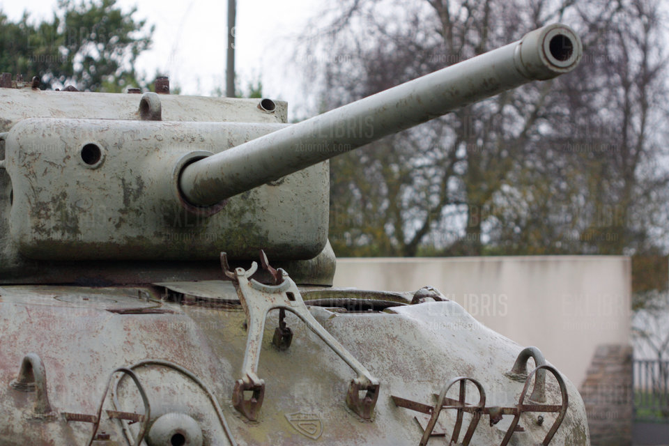 Ten to ma lufę... No chłopaki! Kto pobije Shermana? - exlibris