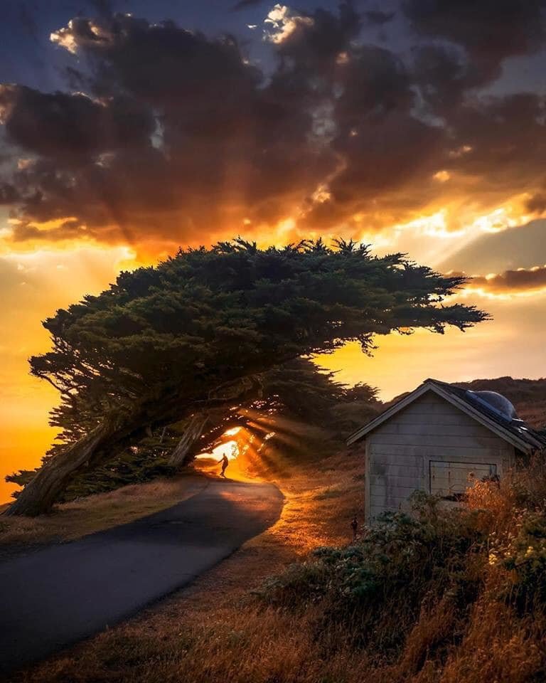 Świat stoi przed Tobą otworem. - ciekawiswiata5