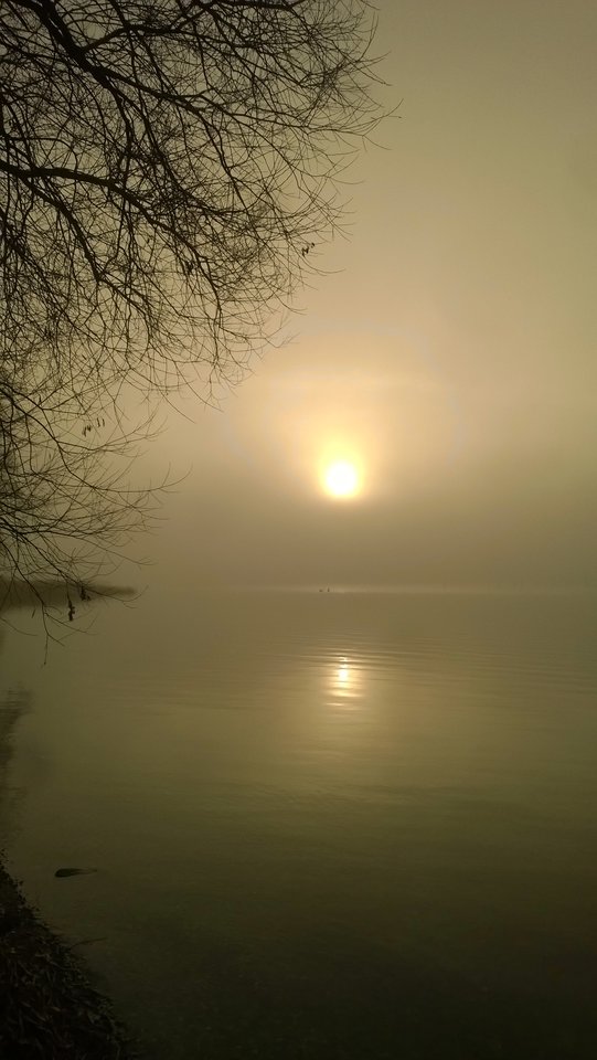 Jak to mawiają miestnyje: nebligen fruje morgien - Ratl