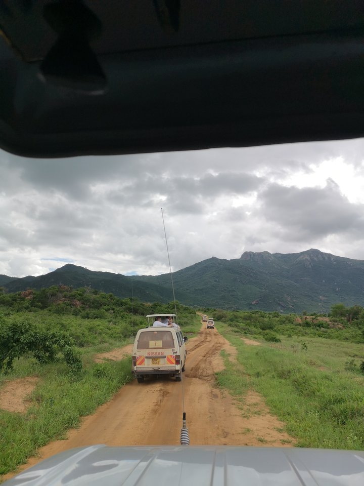 IMG_20191113_134206.jpg - Niunia109