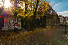 Spacerek Dolnych Młynów 12