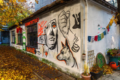 Spacerek Dolnych Młynów 13