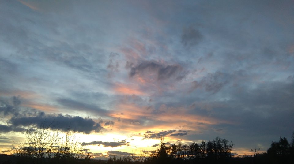 IMAG0485.jpg - renetom