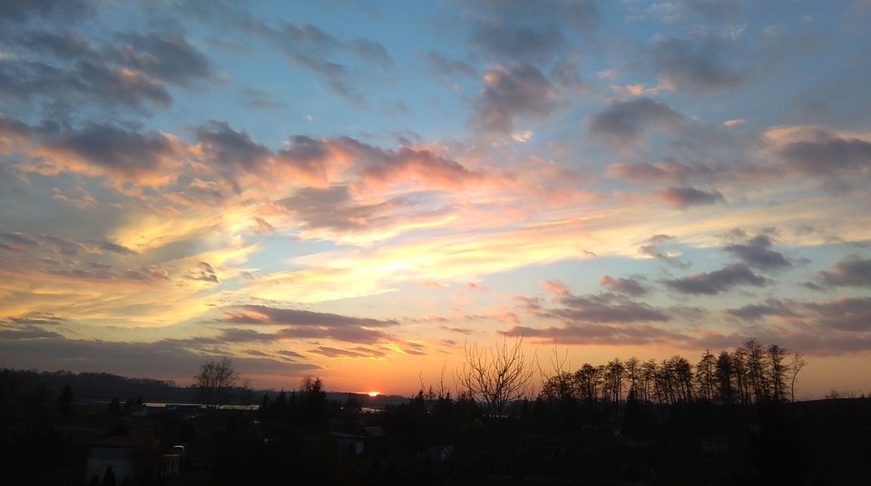 IMAG0166.jpg - renetom