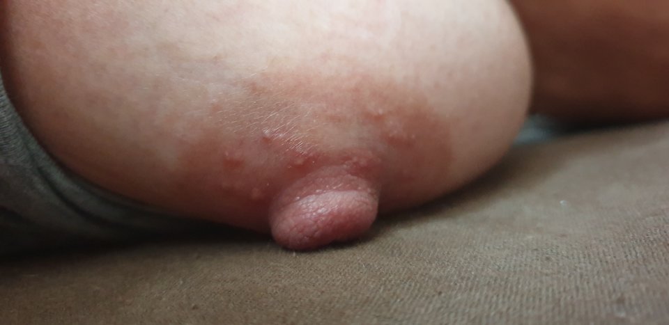 20191117_091102.jpg - DZG