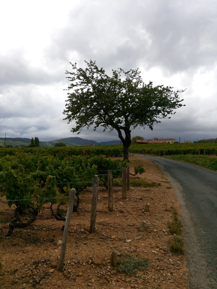 DSC_0482.JPG - pavloff