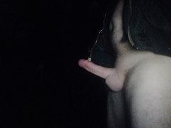 IMG_20191119_055000.jpg