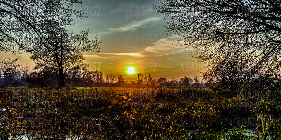 Sceneria do sesji... - adams7