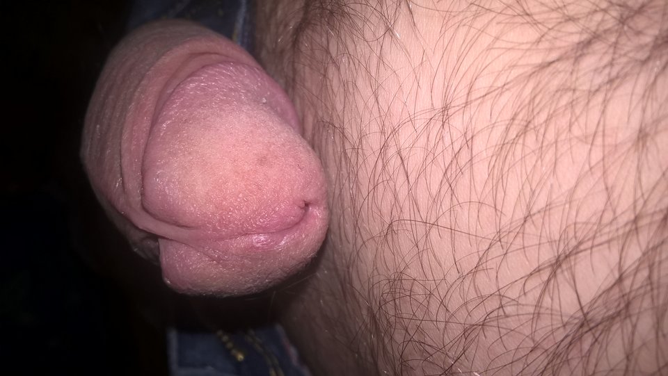 WP_20191117_05_05_17_Pro.jpg - andrzej117