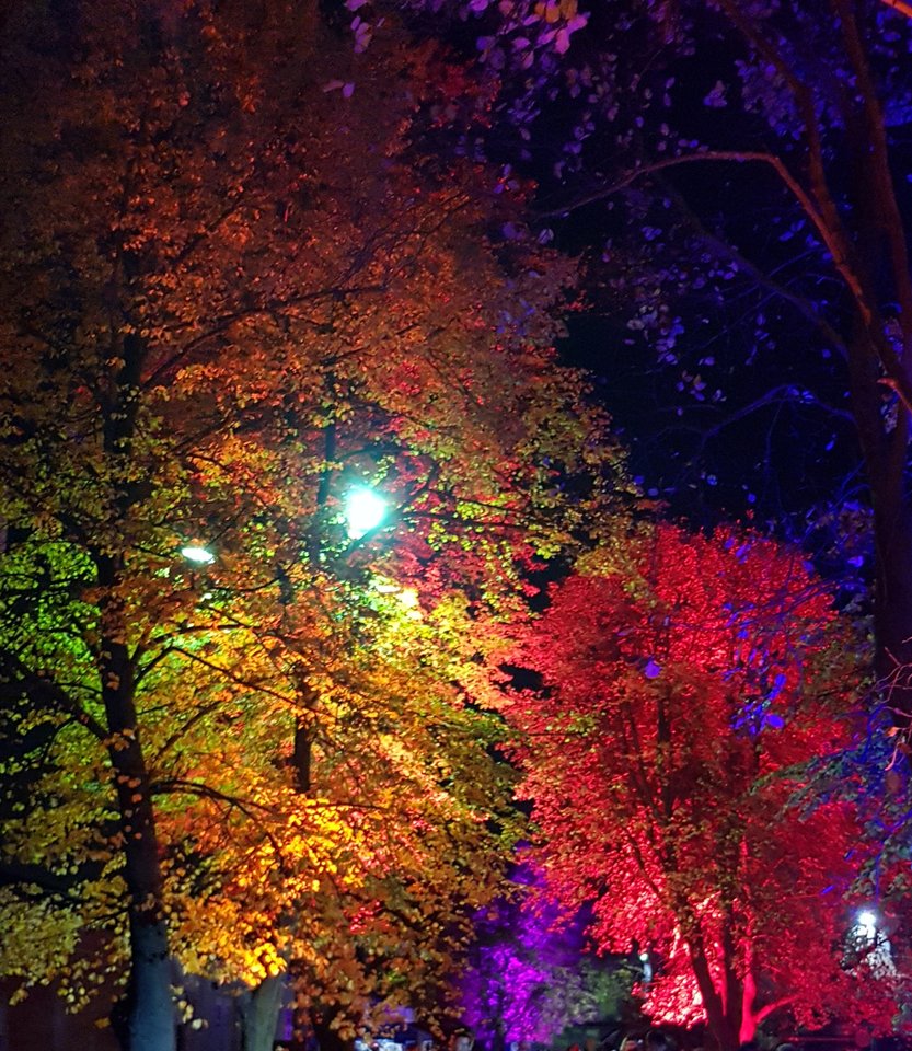 20191120_125719.jpg - BlackKinght