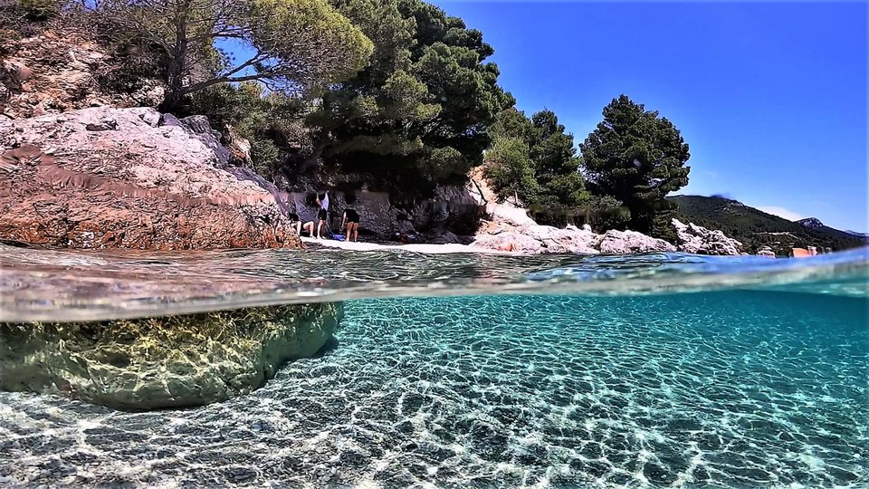 FB_IMG_1574195116755.jpg - DIEG888