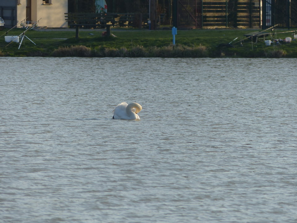 P1000108.JPG - onaongliwice